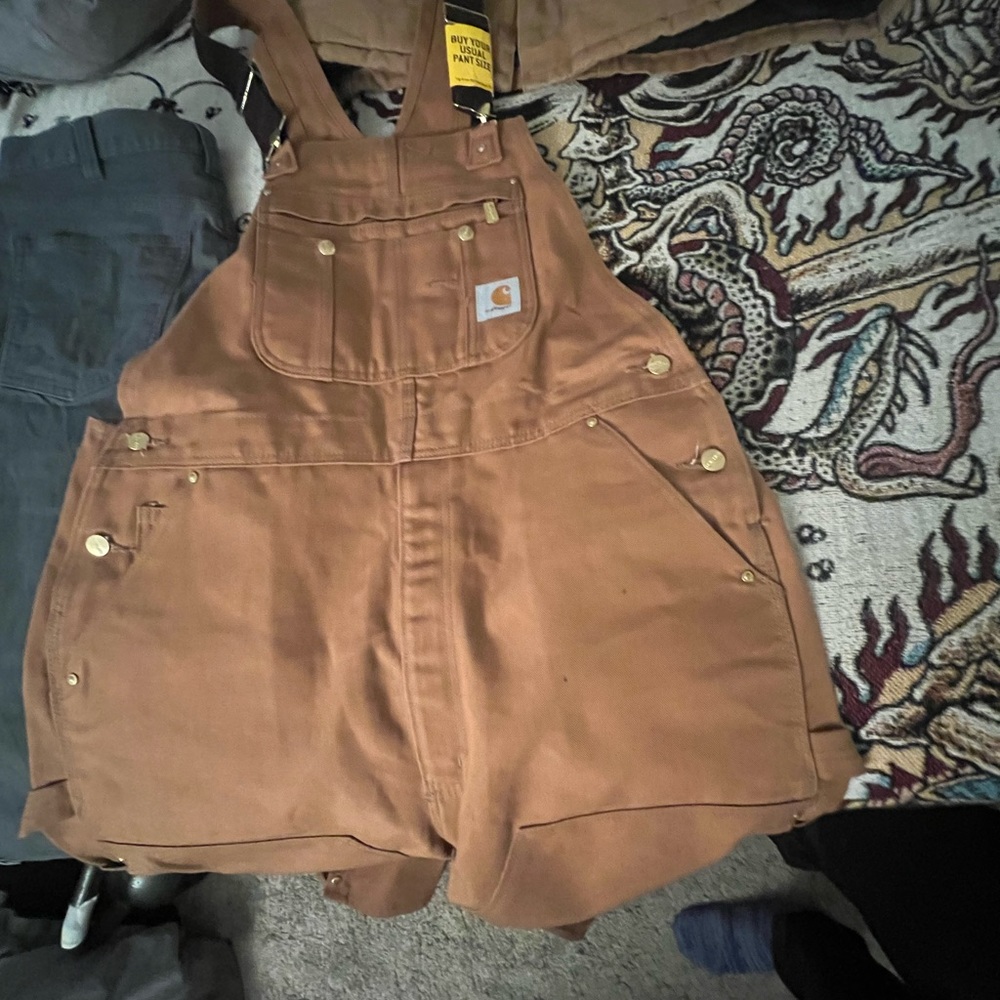 Carhartt bibs or overalls